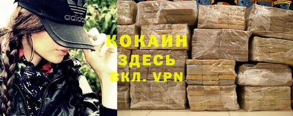 шишки Алексин