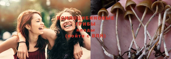 шишки Алексин