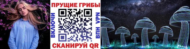 что такое   Салехард  Псилоцибиновые грибы ЛСД 